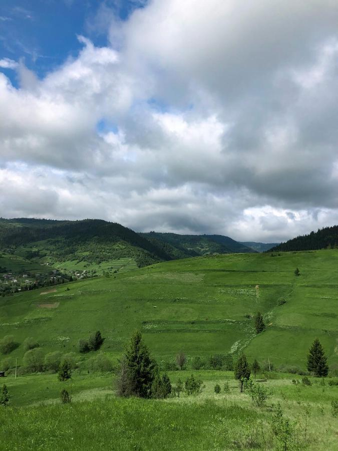 Галерея Карпат Plave Zewnętrze zdjęcie